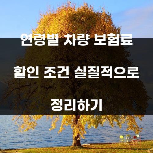 연령별 차량 보험료 할인 조건 실질적으로 정리하기
