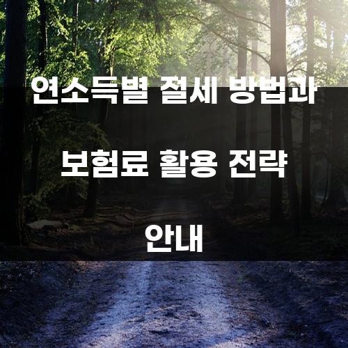연소득별 절세 방법과 보험료 활용 전략 안내
