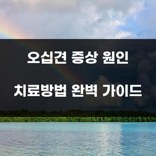 오십견 증상 원인 치료방법 완벽 가이드