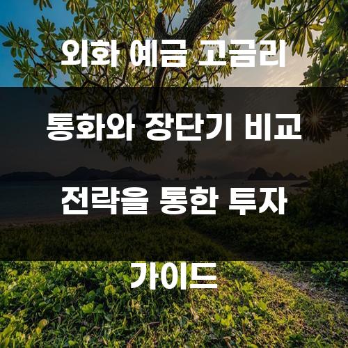 외화 예금 고금리 통화와 장단기 비교 전략을 통한 투자 가이드