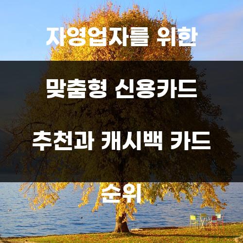 자영업자를 위한 맞춤형 신용카드 추천과 캐시백 카드 순위