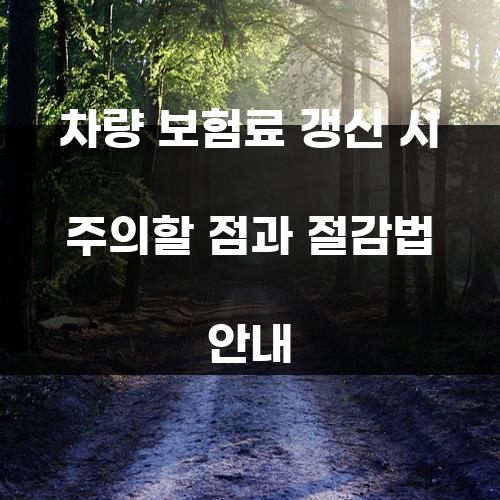 차량 보험료 갱신 시 주의할 점과 절감법 안내