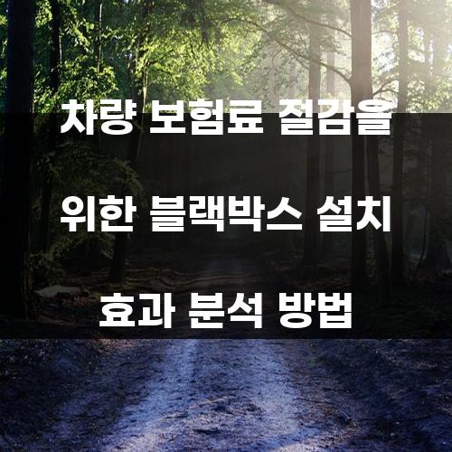 차량 보험료 절감을 위한 블랙박스 설치 효과 분석 방법