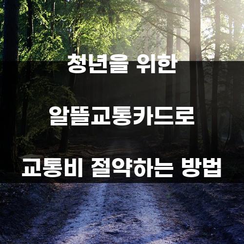 청년을 위한 알뜰교통카드로 교통비 절약하는 방법