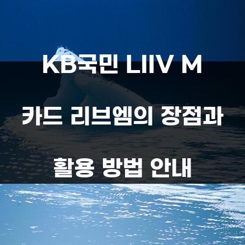 KB국민 LIIV M 카드 리브엠의 장점과 활용 방법 안내