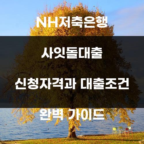 NH저축은행 사잇돌대출 신청자격과 대출조건 완벽 가이드