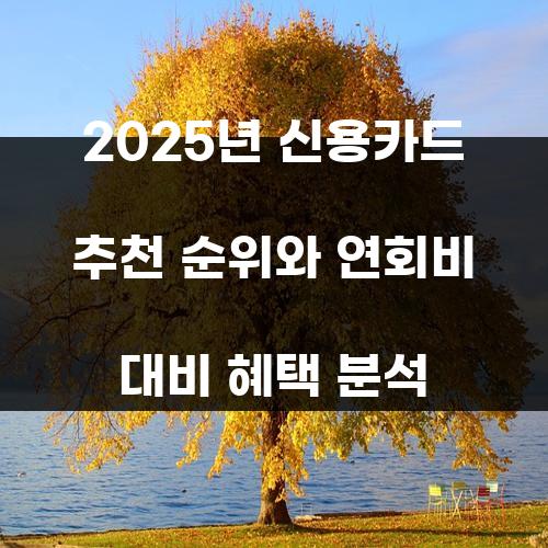 2025년 신용카드 추천 순위와 연회비 대비 혜택 분석