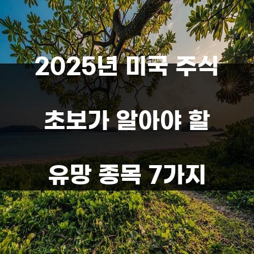 2025년 미국 주식 초보가 알아야 할 유망 종목 7가지 2025년 미국 주식 초보가 알아야 할 유망 종목 7가지