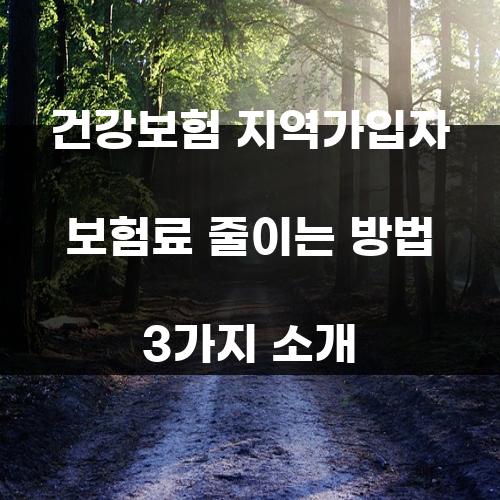 건강보험 지역가입자 보험료 줄이는 방법 3가지 소개