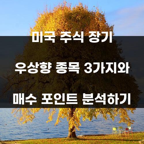 미국 주식 장기 우상향 종목 3가지와 매수 포인트 분석하기 미국 주식 장기 우상향 종목 3가지와 매수 포인트 분석하기