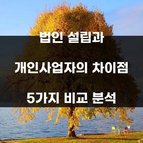 법인 설립과 개인사업자의 차이점 5가지 비교 분석 법인 설립과 개인사업자의 차이점 5가지 비교 분석