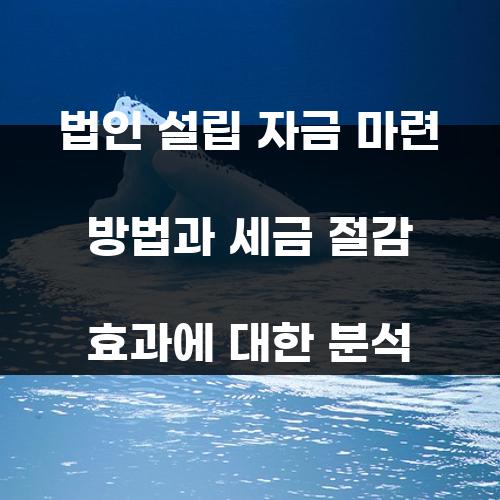 법인 설립 자금 마련 방법과 세금 절감 효과에 대한 분석