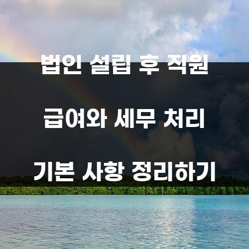법인 설립 후 직원 급여와 세무 처리 기본 사항 정리하기