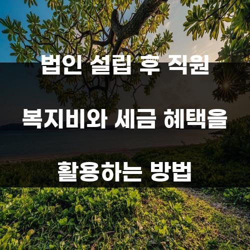 법인 설립 후 직원 복지비와 세금 혜택을 활용하는 방법