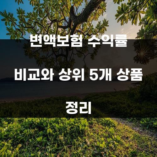 변액보험 수익률 비교와 상위 5개 상품 정리