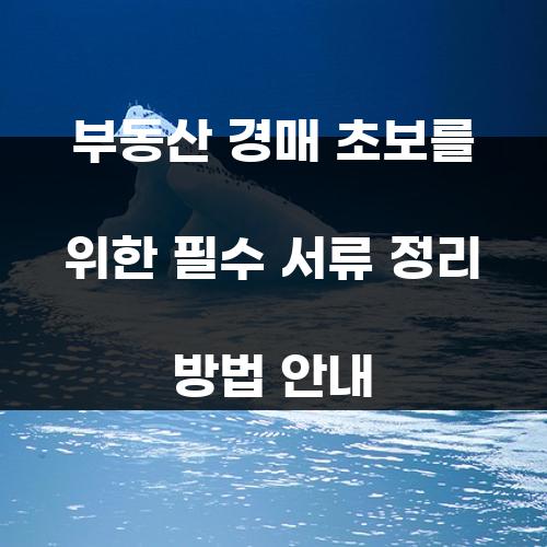 부동산 경매 초보를 위한 필수 서류 정리 방법 안내