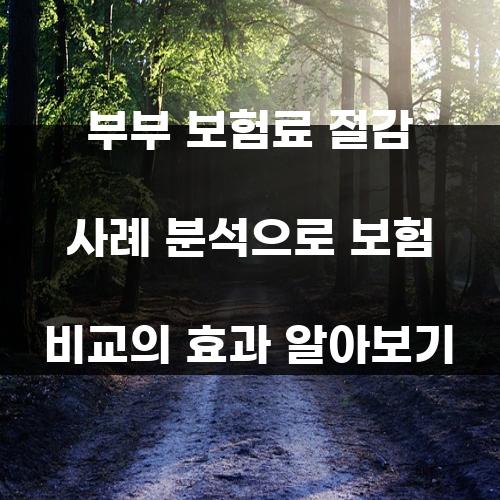 부부 보험료 절감 사례 분석으로 보험 비교의 효과 알아보기