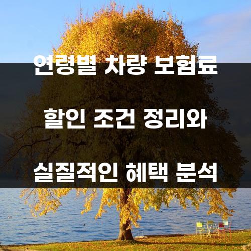 연령별 차량 보험료 할인 조건 정리와 실질적인 혜택 분석