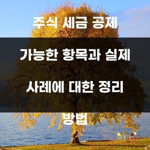 주식 세금 공제 가능한 항목과 실제 사례에 대한 정리 방법
