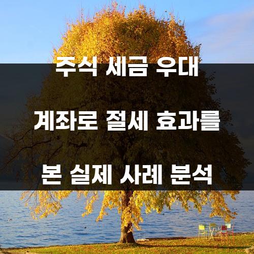 주식 세금 우대 계좌로 절세 효과를 본 실제 사례 분석