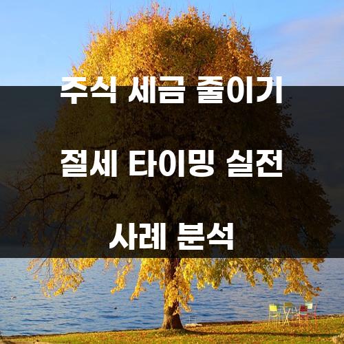 주식 세금 줄이기 절세 타이밍 실전 사례 분석