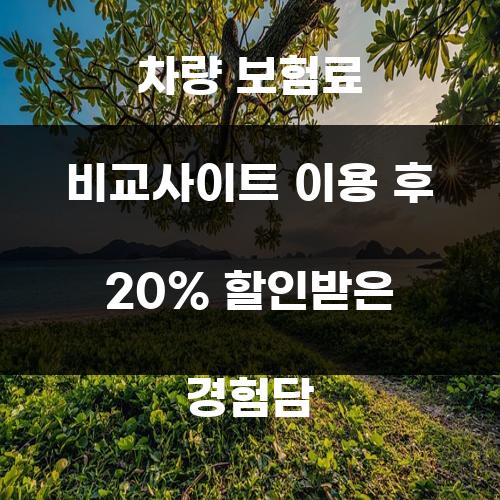 차량 보험료 비교사이트 이용 후 20% 할인받은 경험담