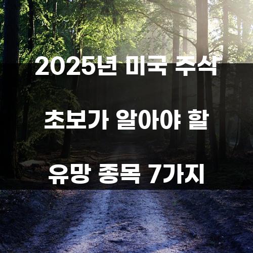 2025년 미국 주식 초보가 알아야 할 유망 종목 7가지