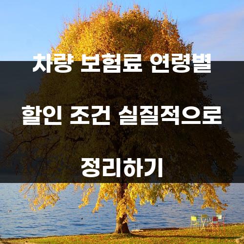 차량 보험료 연령별 할인 조건 실질적으로 정리하기